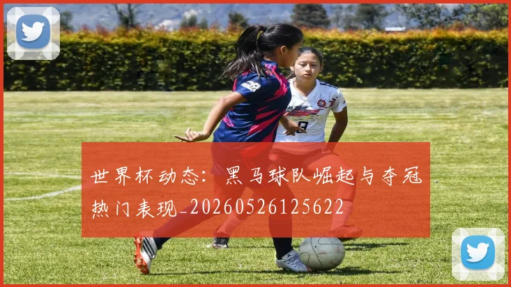 世界杯动态：黑马球队崛起与夺冠热门表现_20260526125622